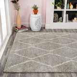 Catala Moroccan Diamond Shag Area Rug