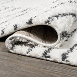 Petra Abstract Stripe Geometric Shag Area Rug