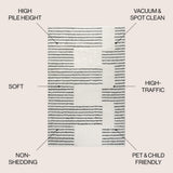 Petra Abstract Stripe Geometric Shag Area Rug