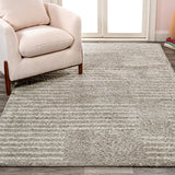 Petra Abstract Stripe Geometric Shag Area Rug