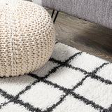 Arenal Geometric Grid Shag Area Rug