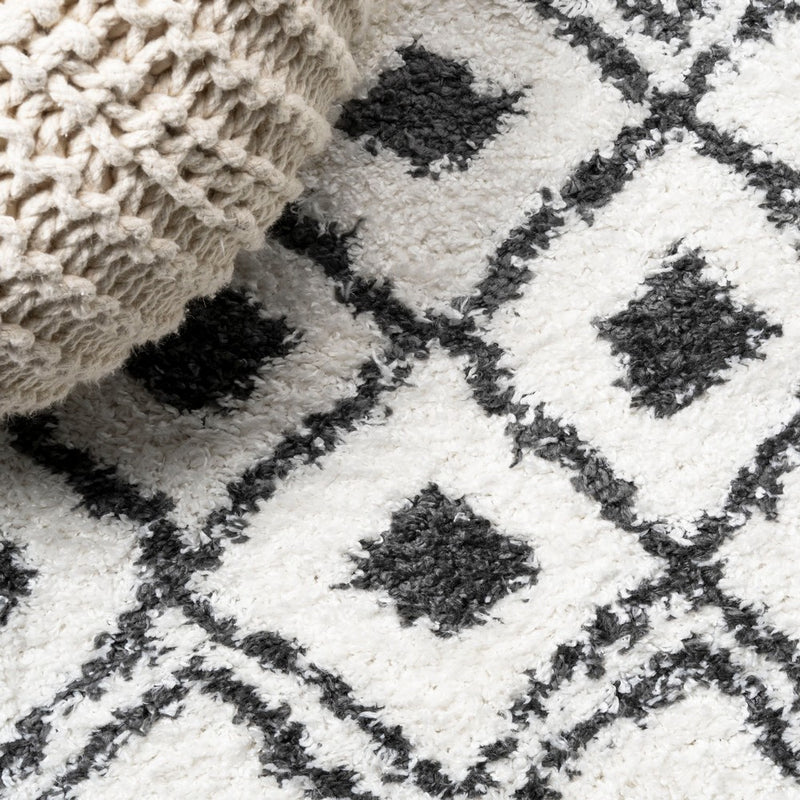 Caimari Moroccan Diamond Shag Area Rug