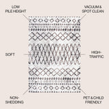 Aksil Moroccan Diamond Area Rug