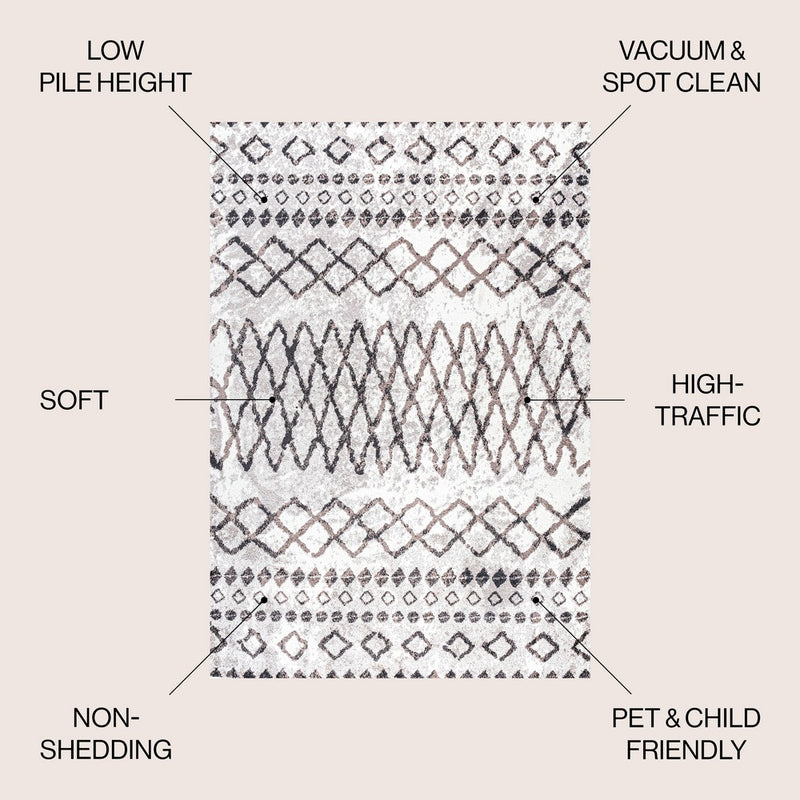 Aksil Moroccan Diamond Area Rug
