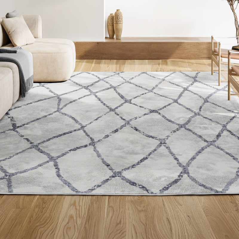 Illi Moroccan Diamond Trellis Area Rug