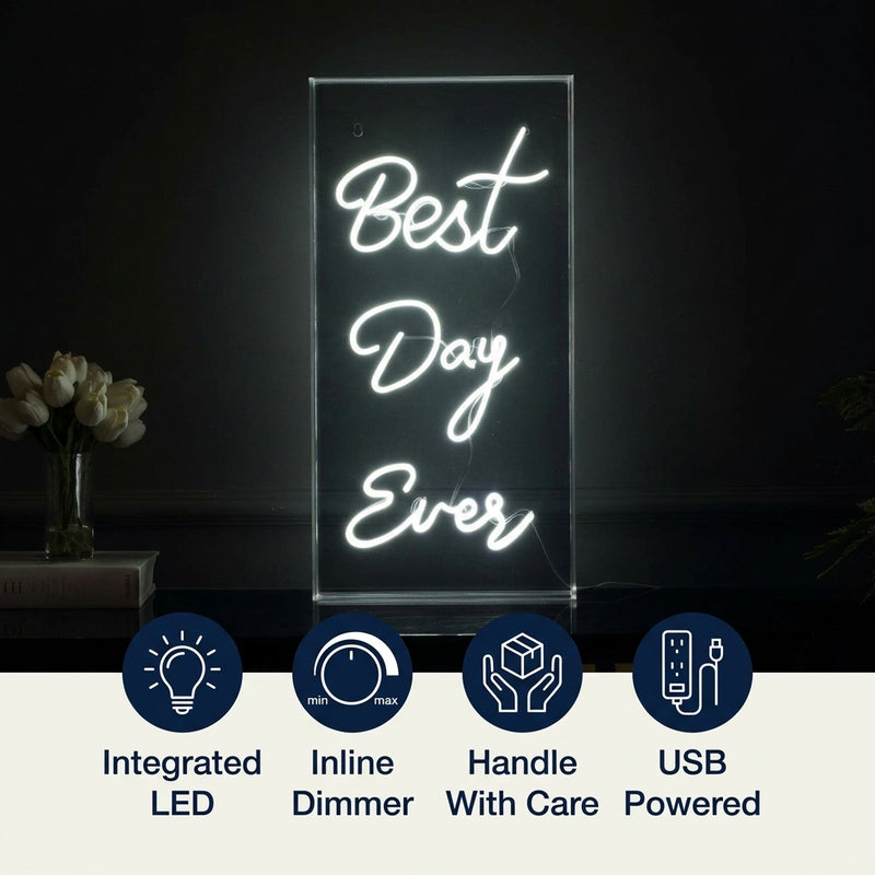 Best Day Ever Contemporary Glam Acrylic Box USB Operated LED Neon Light White / 11.75" X 23.63" – ICONS