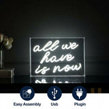 All We Have Is Now Contemporary Glam Acrylic Box USB Operated LED Neon Light White / 14" X 10" – ICONS