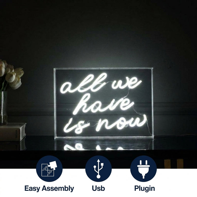 All We Have Is Now Contemporary Glam Acrylic Box USB Operated LED Neon Light White / 14" X 10" – ICONS