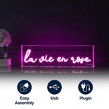 La Vie En Rose Contemporary Glam Acrylic Box USB Operated LED Neon Light Pink / 20" X 6" – ICONS