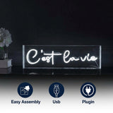 C'est La Vie Contemporary Glam Acrylic Box USB Operated LED Neon Light White / 20" X 6" – ICONS