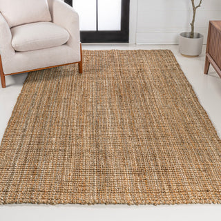Biot Traditional Rustic Handwoven Jute Area Rug