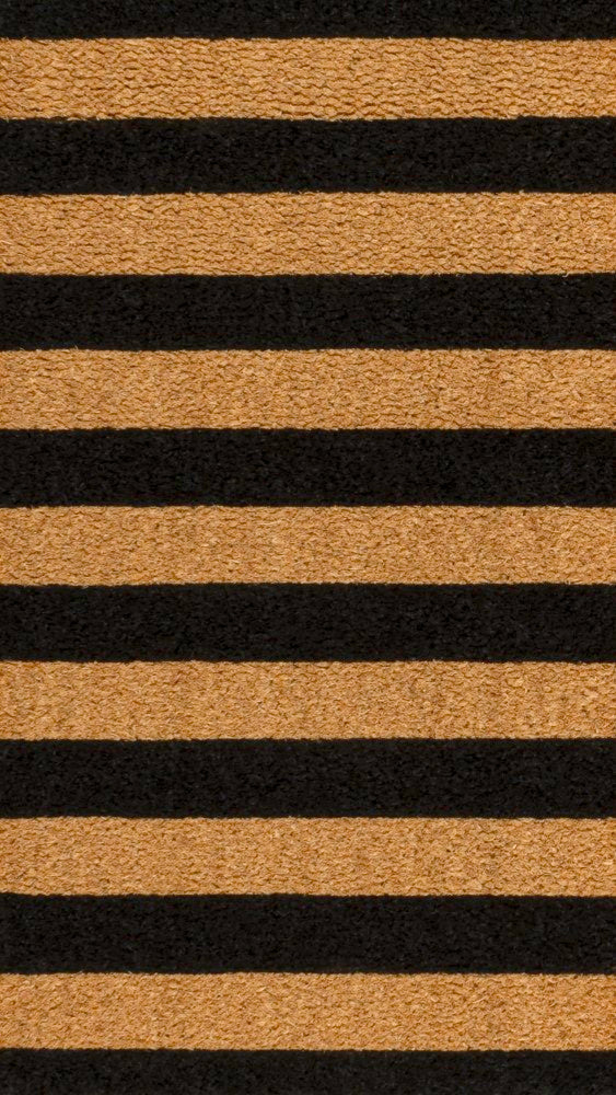 Sutton Modern Coastal Striped Coir Area Rug
