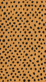 Daphne Modern Classic Animal-spot Bordered Coir Area Rug