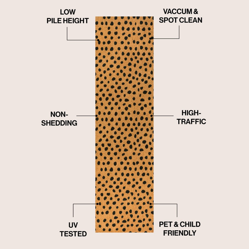 Daphne Modern Classic Animal-spot Bordered Coir Area Rug