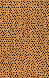 Daphne Modern Classic Animal-spot Bordered Coir Area Rug