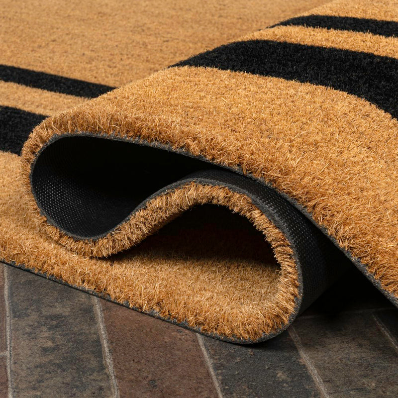 Blaire Modern Classic Double Border Coir Area Rug