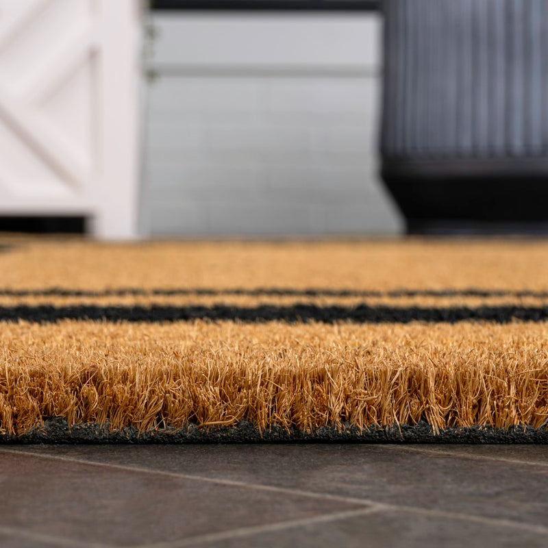 Blaire Modern Classic Double Border Coir Area Rug