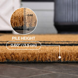 Blaire Modern Classic Double Border Coir Area Rug