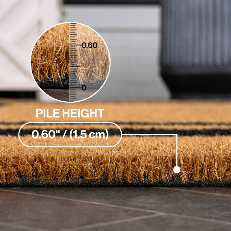 Blaire Modern Classic Double Border Coir Area Rug