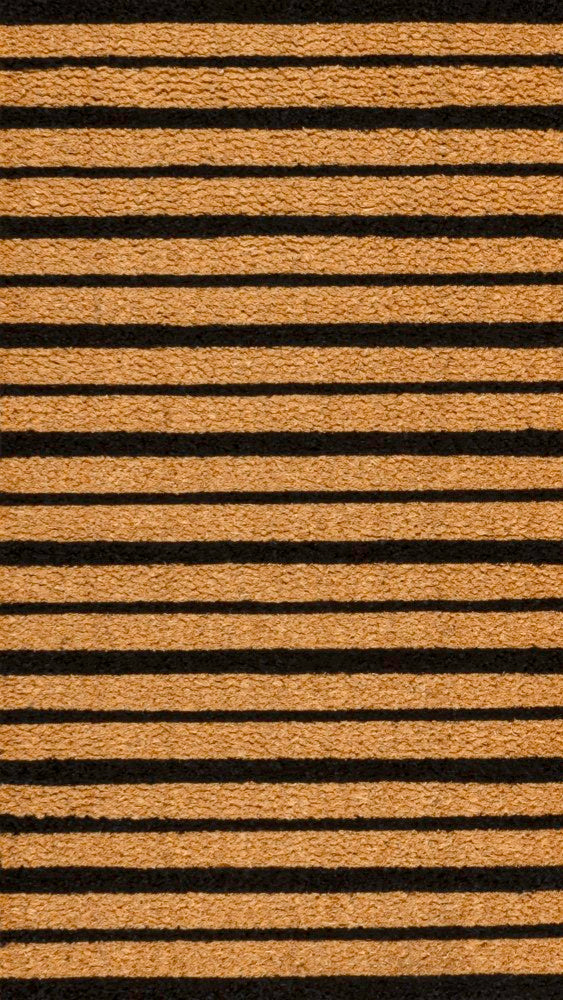 Hadley Modern Classic Ticking Stripe Coir Area Rug