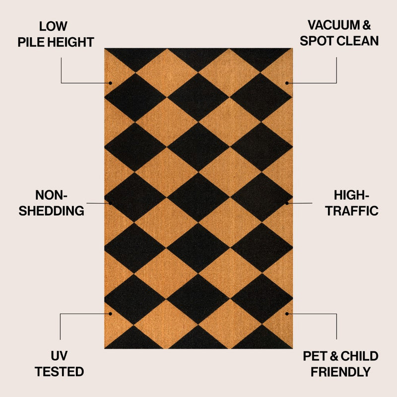 Paige Modern Classic Diamond-patterned Coir Area Rug