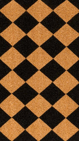 Paige Modern Classic Diamond-patterned Coir Area Rug