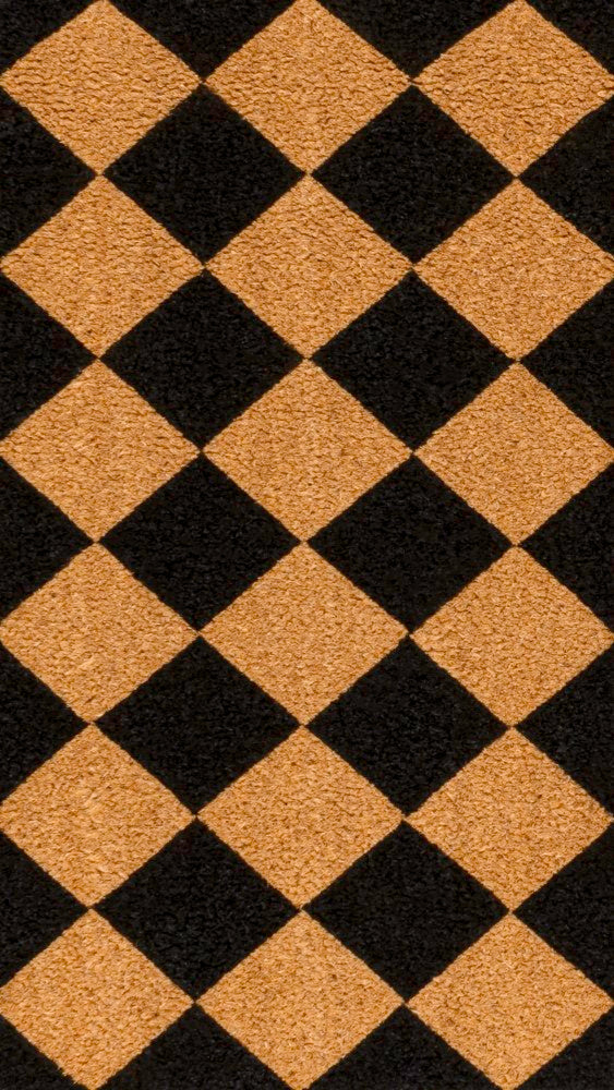 Paige Modern Classic Diamond-patterned Coir Area Rug