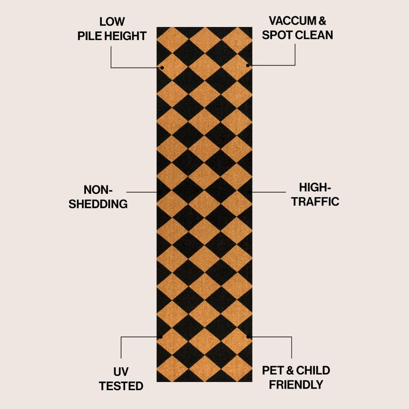 Paige Modern Classic Diamond-patterned Coir Area Rug