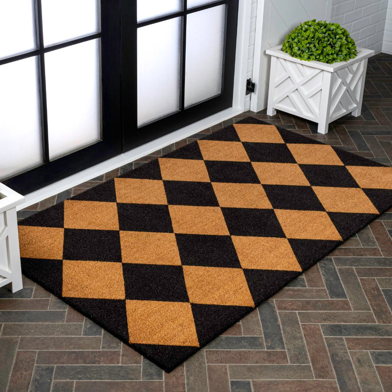Paige Modern Classic Diamond-patterned Coir Area Rug