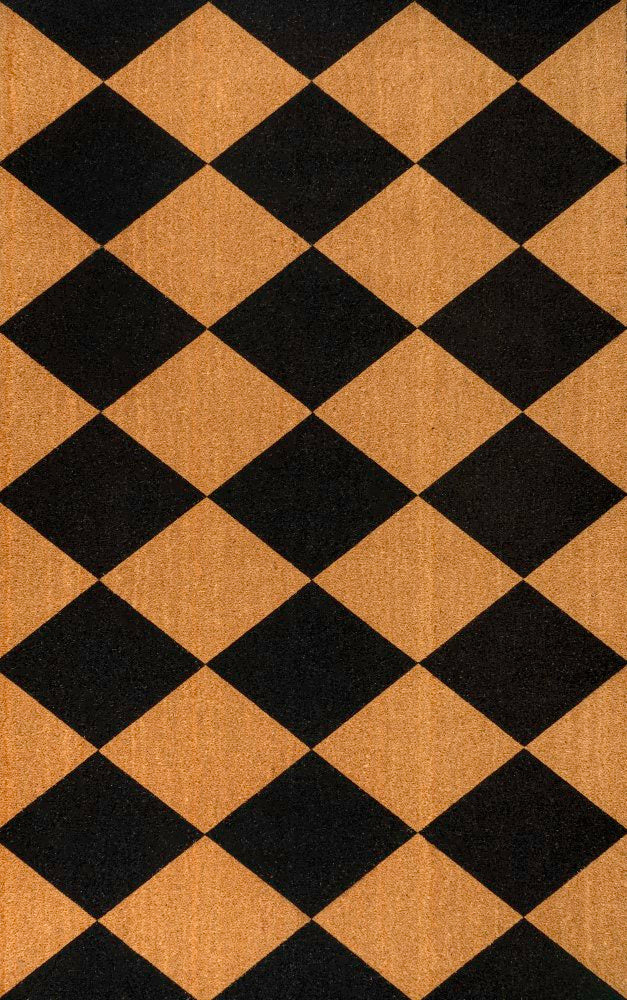 Paige Modern Classic Diamond-patterned Coir Area Rug