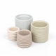 Matte Soft Neutral (Set of 4)