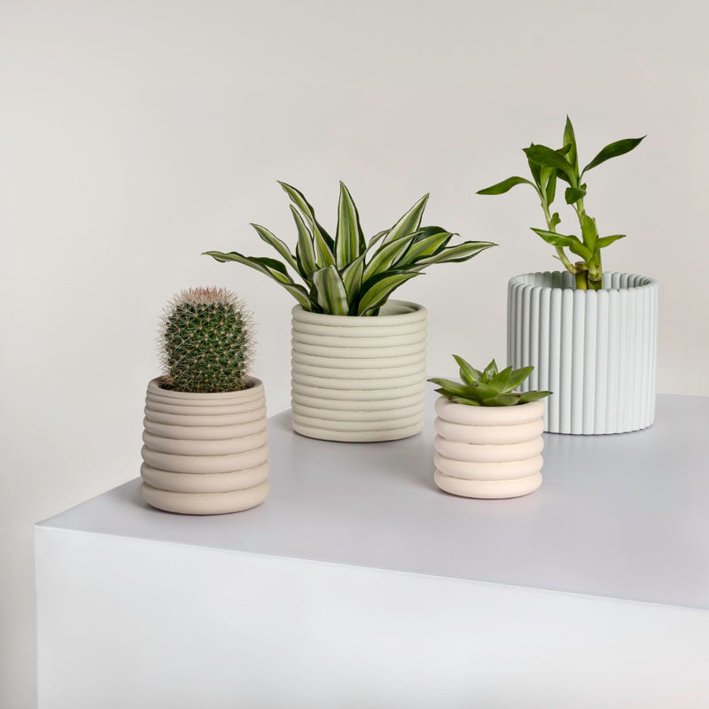 Silas Modern Minimalist Handmade Concrete Fluted Sculptural Cylinder Planter Set with Drainage Holes