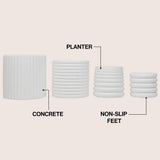 Silas Modern Minimalist Handmade Concrete Fluted Sculptural Cylinder Planter Set with Drainage Holes