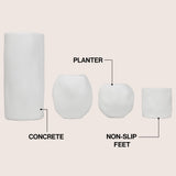 Linden Modern Minimalist Handmade Concrete Organic Sculptural Cylinder and Round Planter Set with Drainage Holes