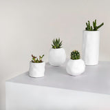 Linden Modern Minimalist Handmade Concrete Organic Sculptural Cylinder and Round Planter Set with Drainage Holes