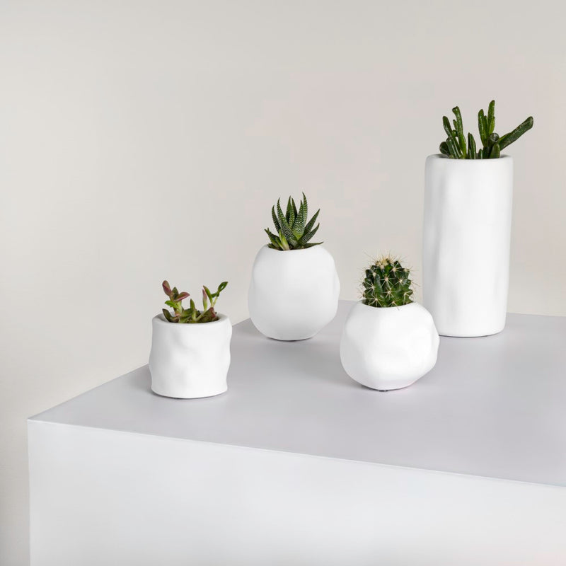 Linden Modern Minimalist Handmade Concrete Organic Sculptural Cylinder and Round Planter Set with Drainage Holes