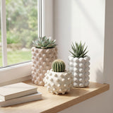 Maren Modern Minimalist Handmade Concrete Bubble Cylinder and Round Planter Set