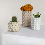 Maren Modern Minimalist Handmade Concrete Bubble Cylinder and Round Planter Set