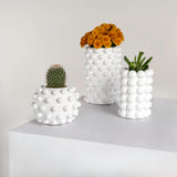 Maren Modern Minimalist Handmade Concrete Bubble Cylinder and Round Planter Set