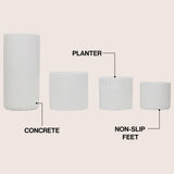 Noa Modern Minimalist Handmade Concrete Fluted Cylinder Planter Set