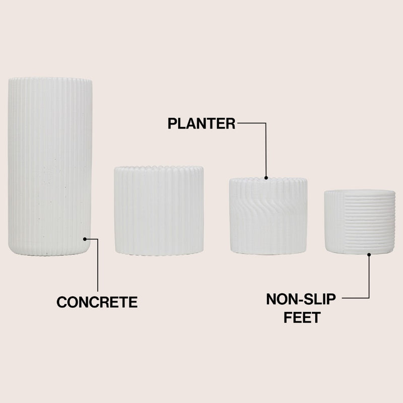 Noa Modern Minimalist Handmade Concrete Fluted Cylinder Planter Set