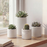 Noa Modern Minimalist Handmade Concrete Fluted Cylinder Planter Set