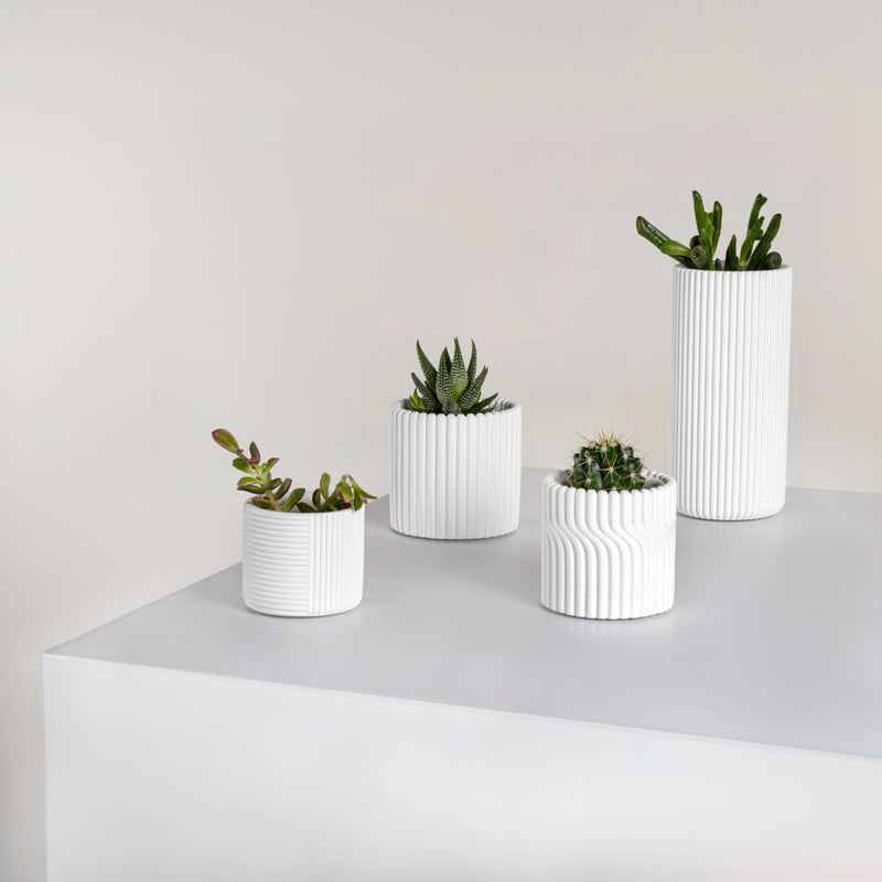 Noa Modern Minimalist Handmade Concrete Fluted Cylinder Planter Set