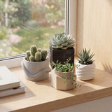 Romy Modern Minimalist Handmade Concrete Geometric Planter Set with Drainage Holes