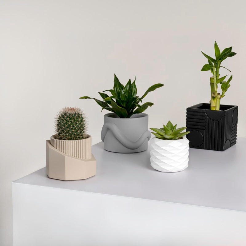 Romy Modern Minimalist Handmade Concrete Geometric Planter Set with Drainage Holes