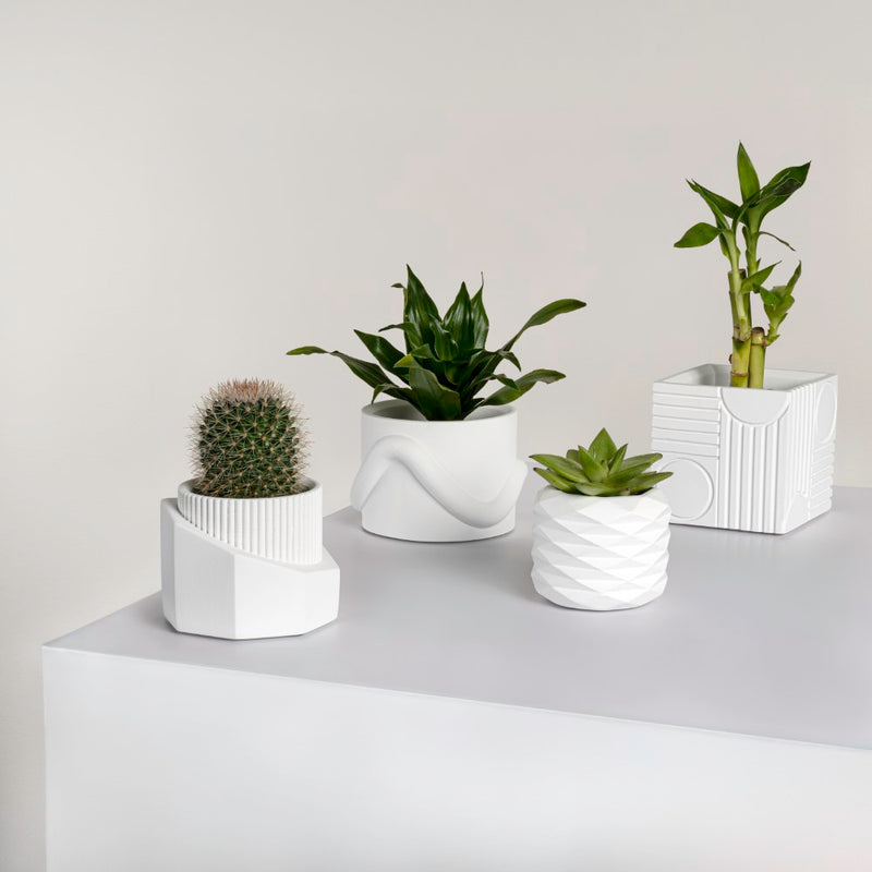 Romy Modern Minimalist Handmade Concrete Geometric Planter Set with Drainage Holes