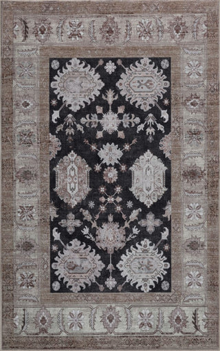 Kisara Oushak Style Distressed Border Non-slip Machine-washable Area Rug