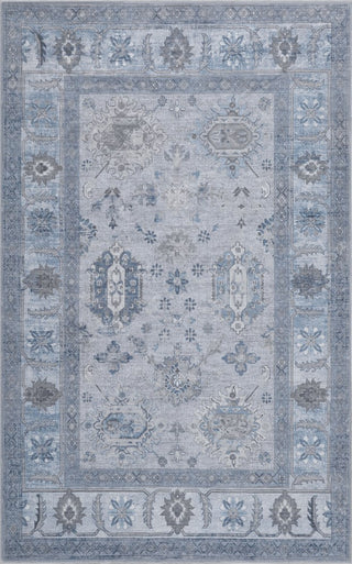 Kisara Oushak Style Distressed Border Non-slip Machine-washable Area Rug