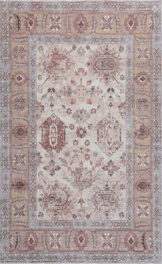 Kisara Oushak Style Distressed Border Non-slip Machine-washable Area Rug