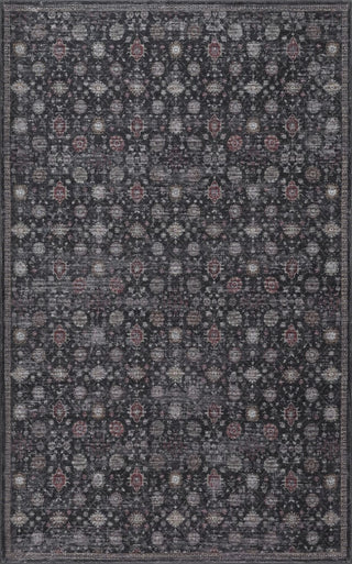 Petunia Distressed All-over Floral Border Non-slip Machine-washable Area Rug